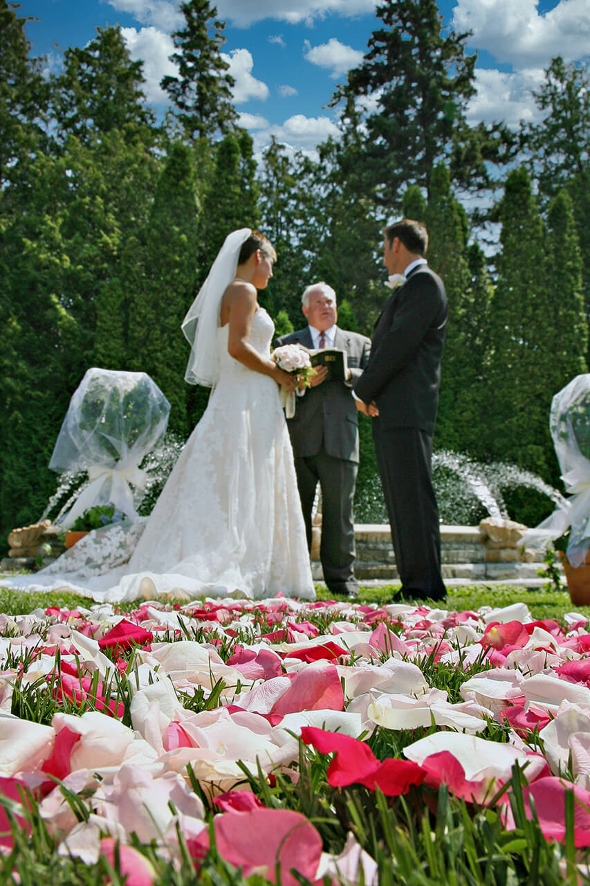 Wedding Vows in a Sea of Flowers